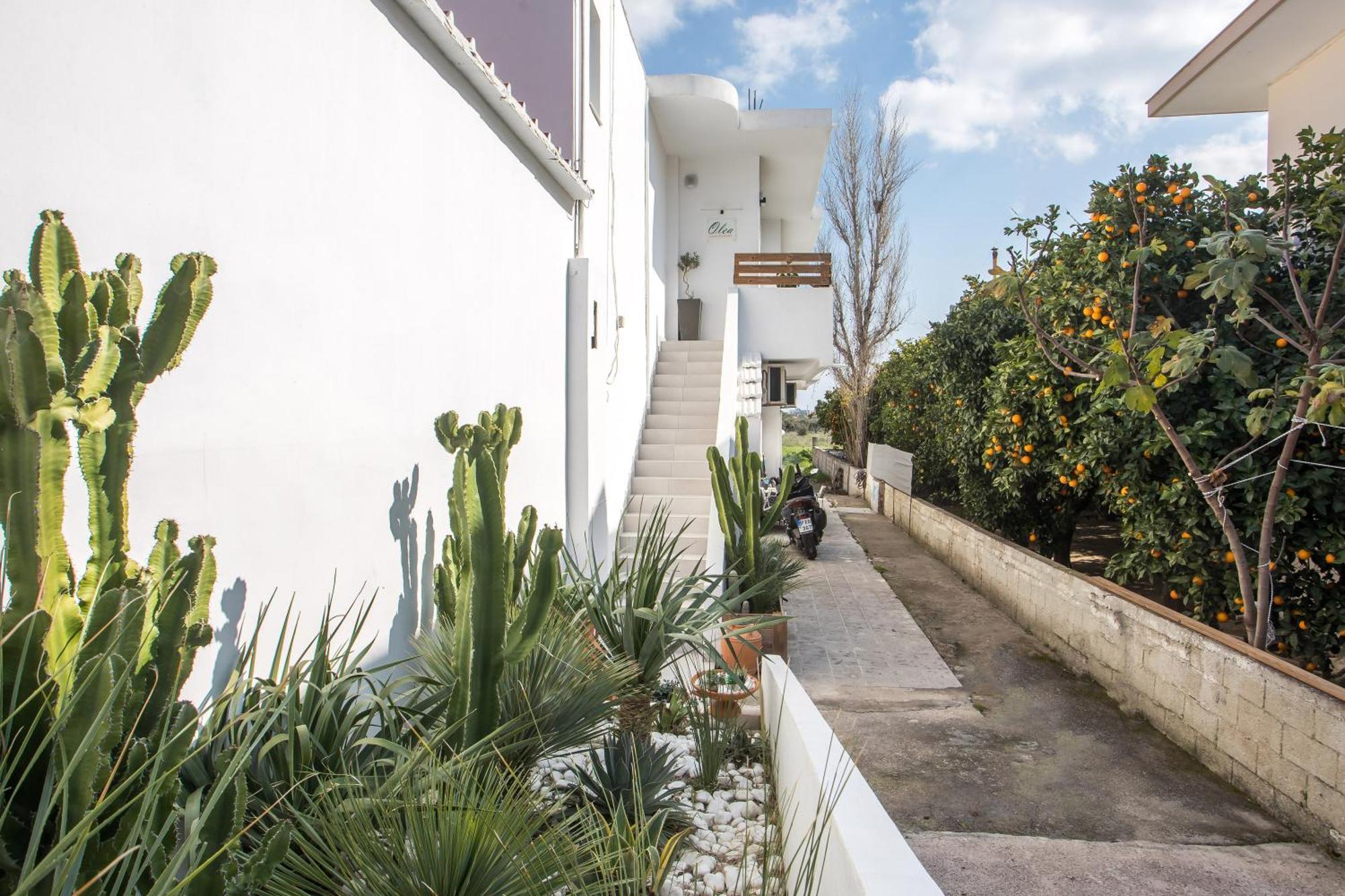 Olea Luxury Apartment Afando Esterno foto
